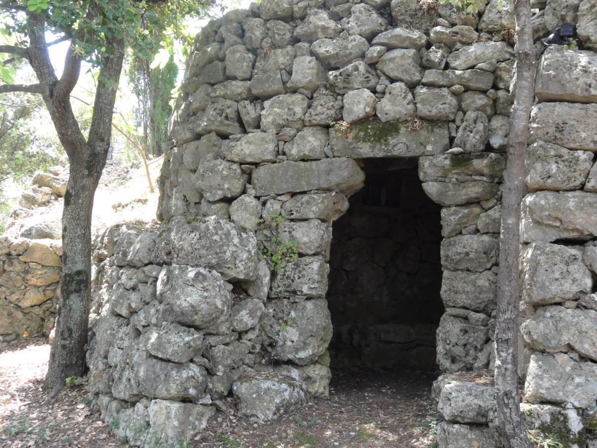 Domaine De La Borie Yourhosthelper Trans-en-Provence Exterior foto